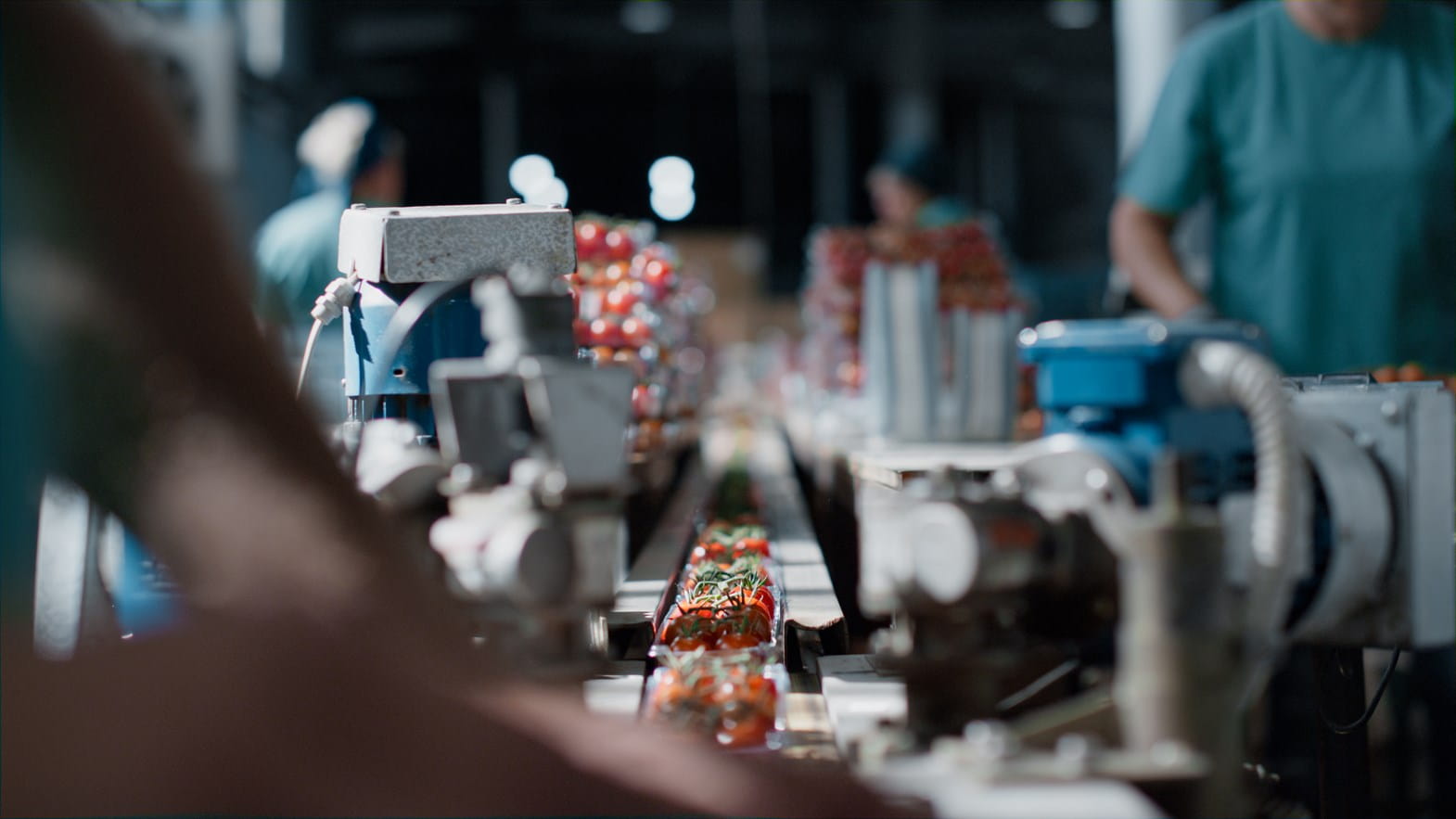 Cameras and sensors on vegetable inspection production/packaging line